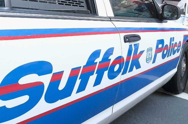A Queens woman who was dog sitting on Long Island was arrested for leaving two dogs in a locked car with the engine off on Suffolk County.