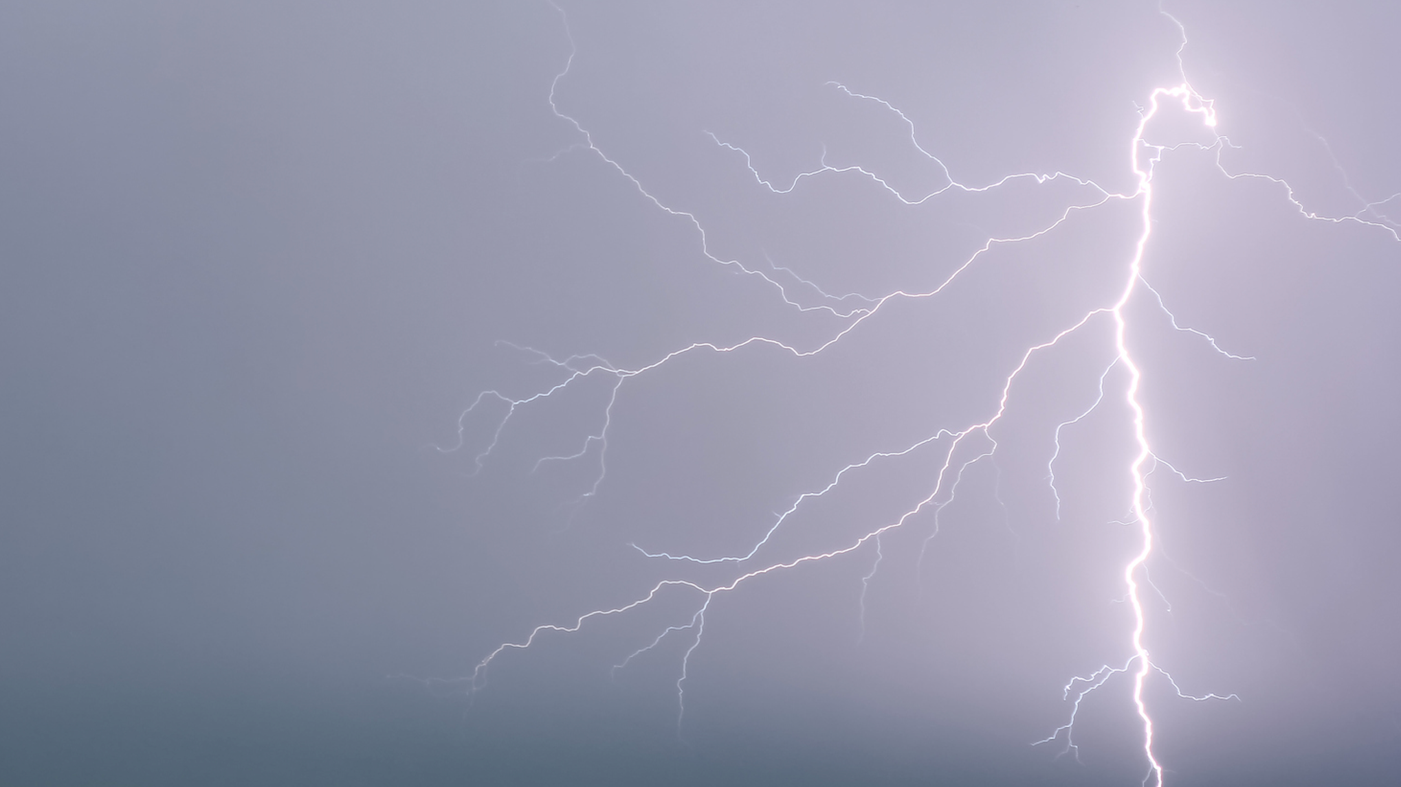 L.A. man among those killed in lightning strike outside White House
