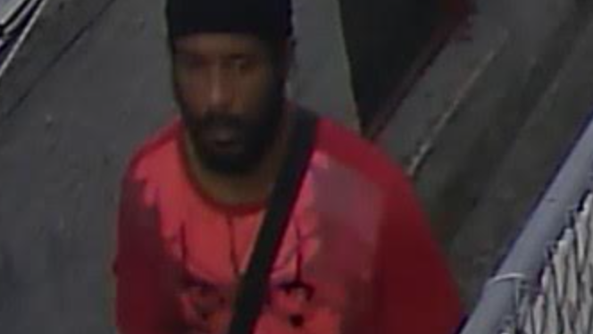 Carjacker puts gun to man's face, punches him in Brooklyn: NYPD