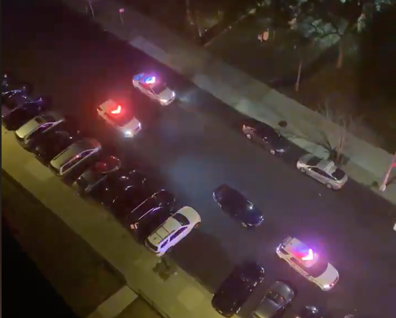 Police responding to a Coney Island apartment building on Wednesday night after a mother and son allegedly stabbed eachother.