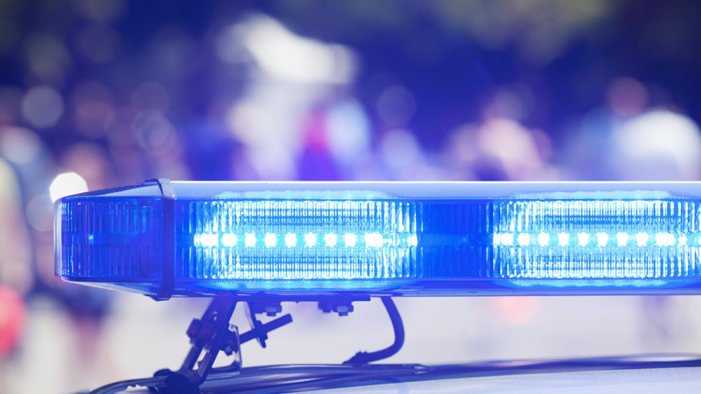 Locked car stolen in River North with 2 dogs inside, thief climbed in through sun roof: CPD