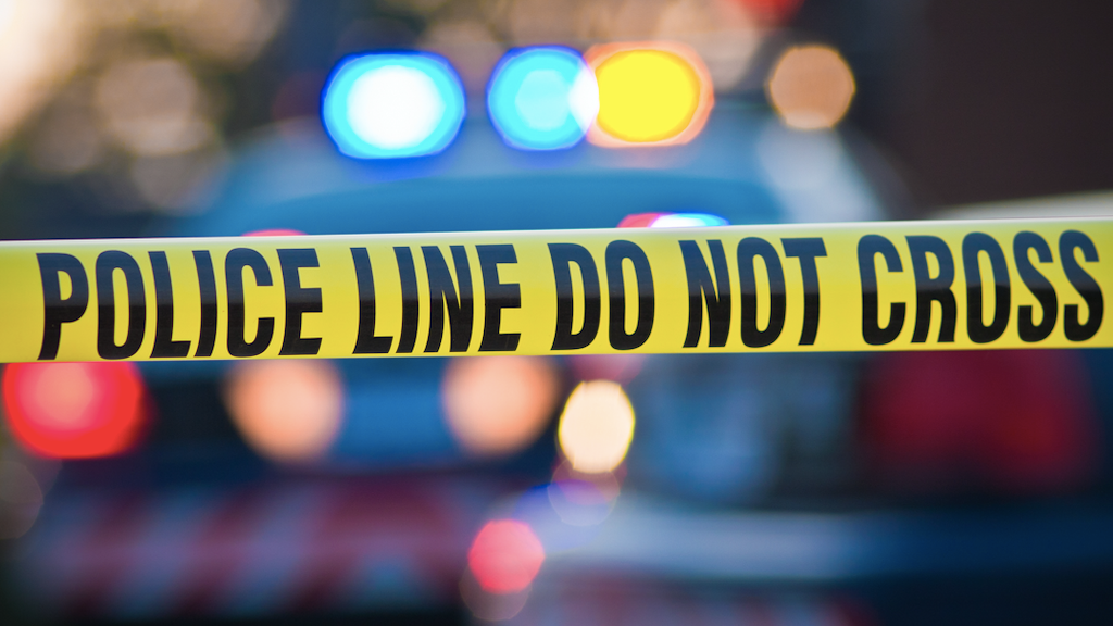 Three men shot in Albany Park: police
