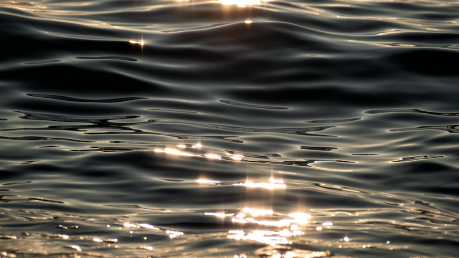 Two people fall into lake near 'Playpen,' 1 still missing: police