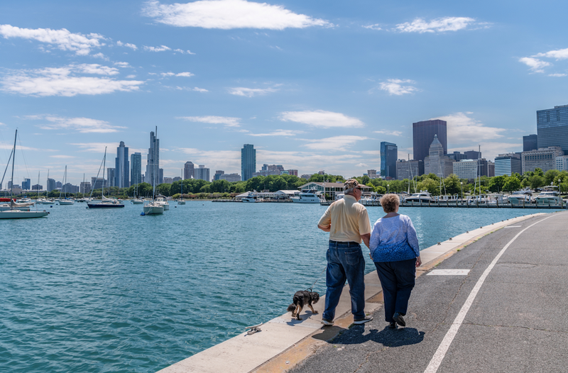 Chicago lakefront in summer