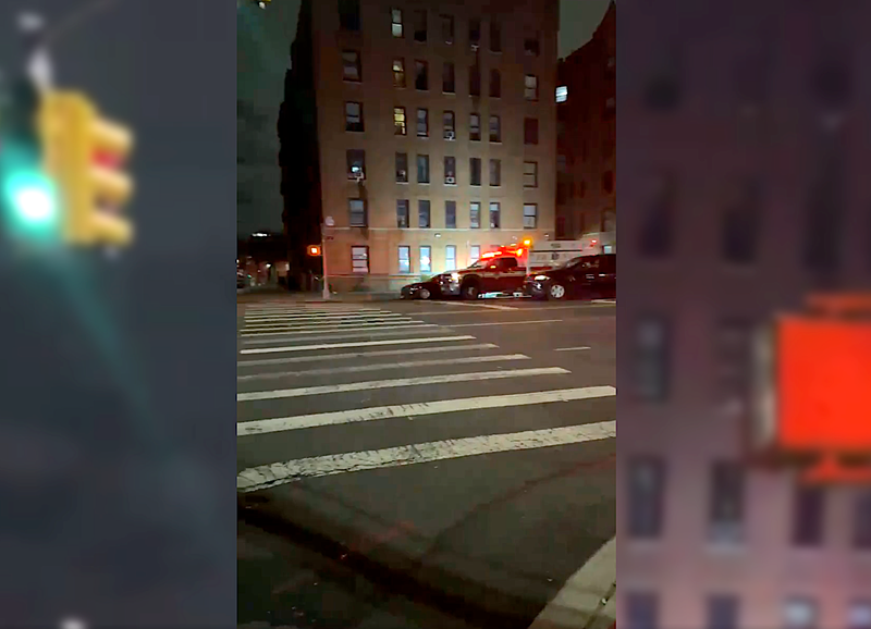 A woman was found fatally shot with multiple gunshot wounds at an apartment building in Brownsville on Monday morning