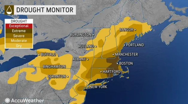 AccuWeather