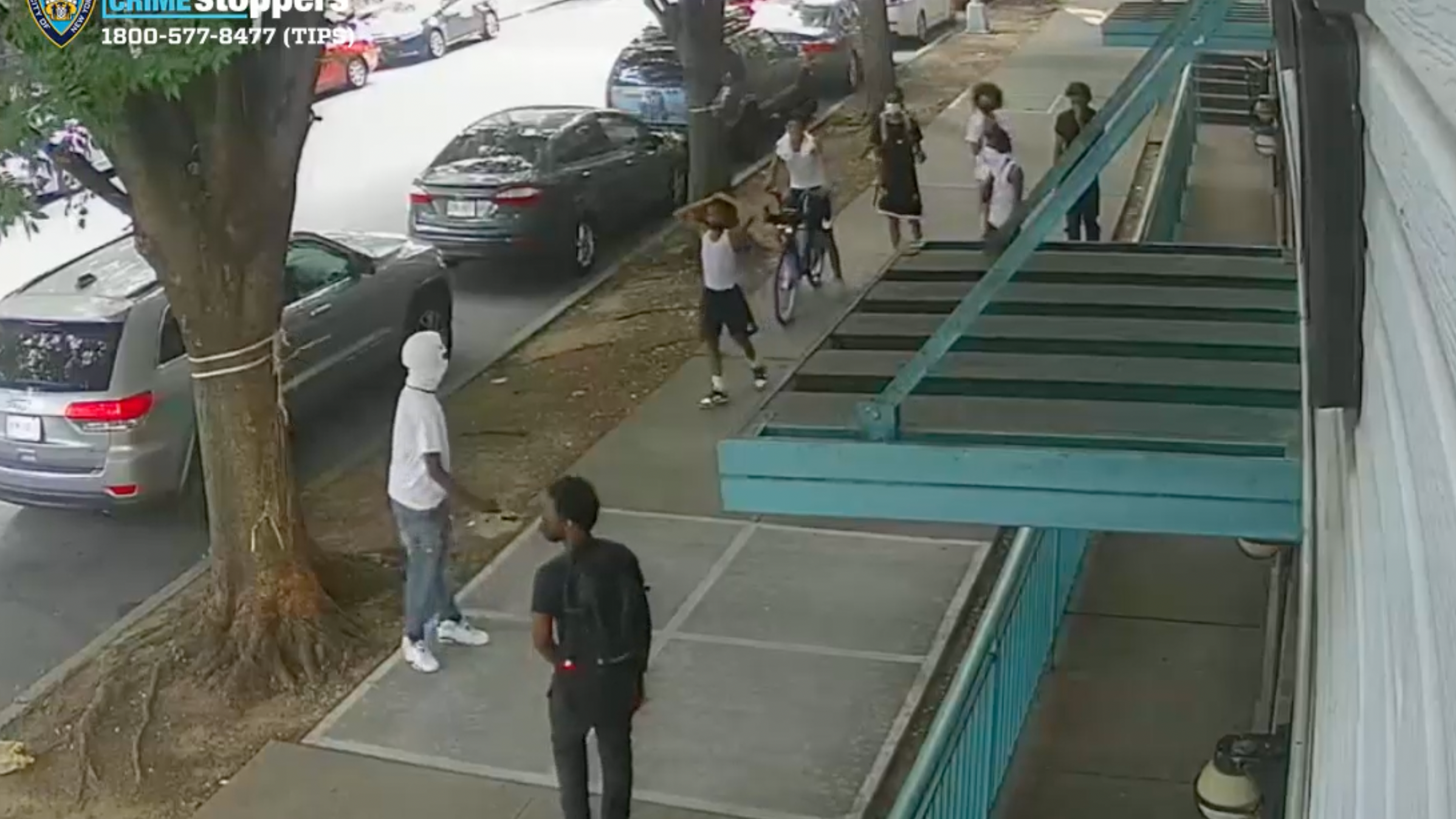 Group of at least 9 males wanted for robbing 19-year-old at knifepoint in the BX