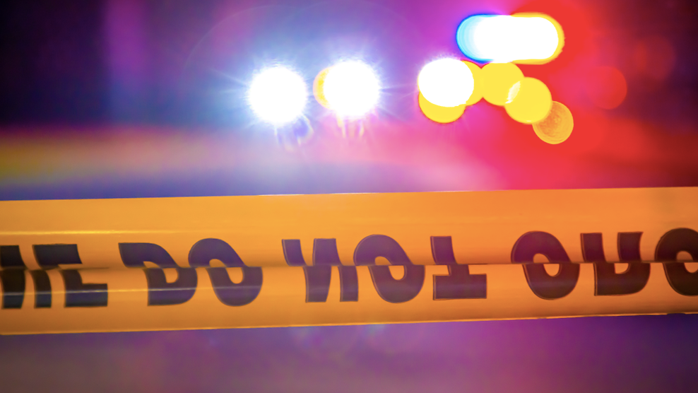 Boy, 16, charged in shooting death of woman in Little Village