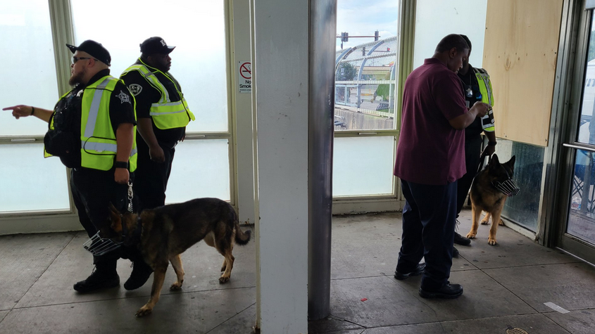 K-9s, unarmed guards are back on the CTA, amid crime surge