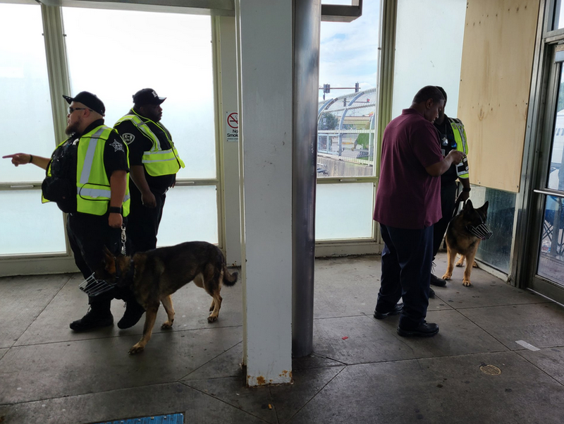 K-9 teams