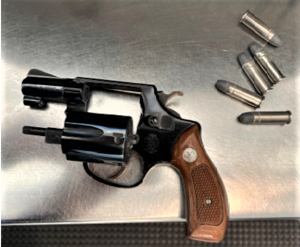 Gun confiscated from woman at Newark