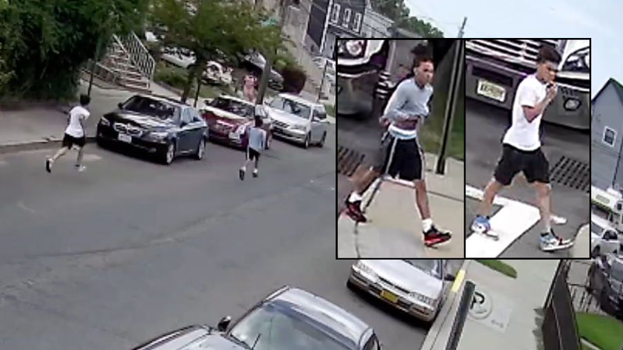 Young thieves point guns at woman, snatch her chain in Bronx robbery