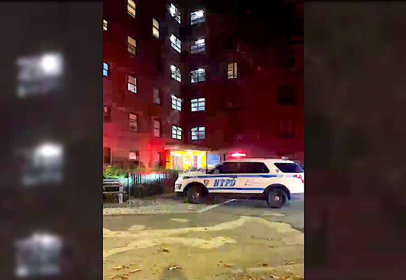 Police responded to a NYCHA building on Williamsbridge Road in Allerton just after midnight Friday