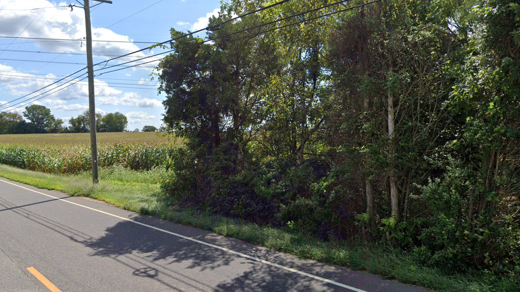 Truck driver kills horse, injures teen girl in NJ hit-run crash