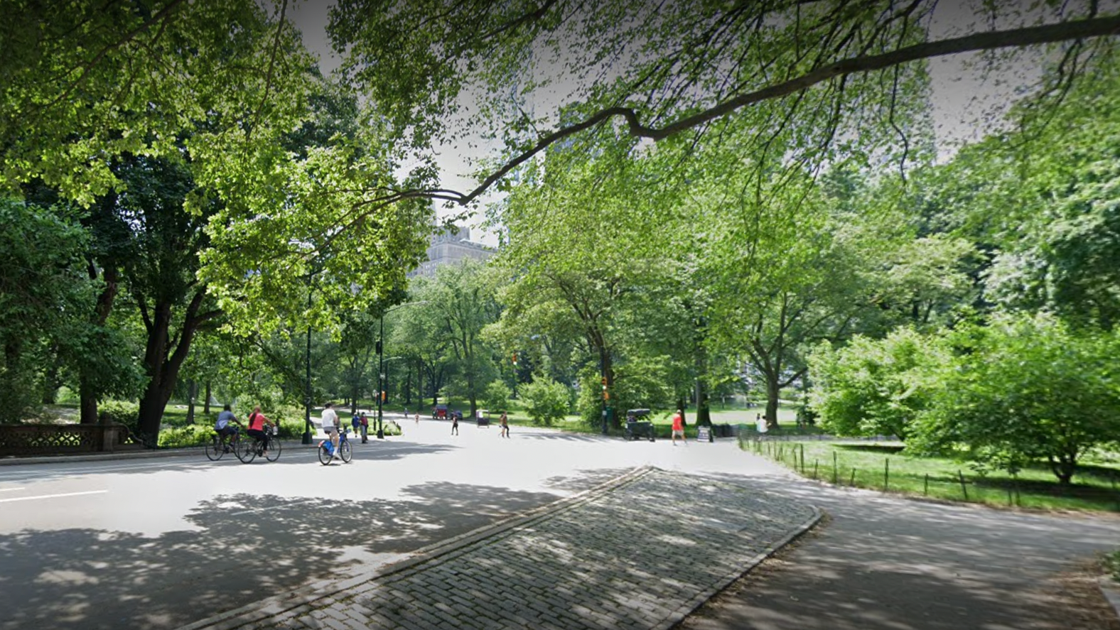 Man, 35, robbed at knifepoint in Central Park by trio of teens: report