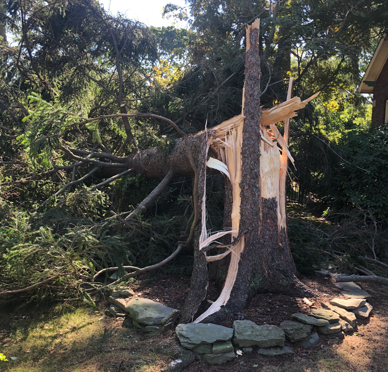A tree was destroyed in West Islip after Sunday night's storm hit the Tri-State hard.