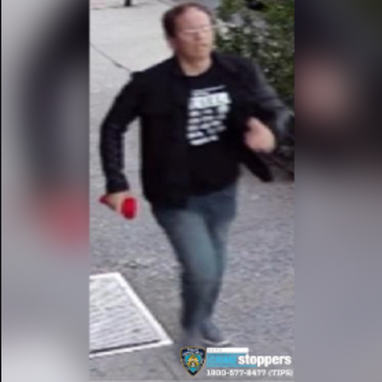 Robbery and assault suspect