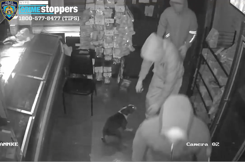 The suspects stole a deli dog in the Sept. 13 burglary. The pooch was later recovered unharmed