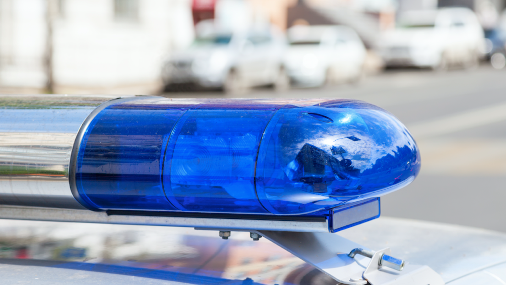 At-large suspect grabbed, sexually abused girl, 11, in Washington Park: police