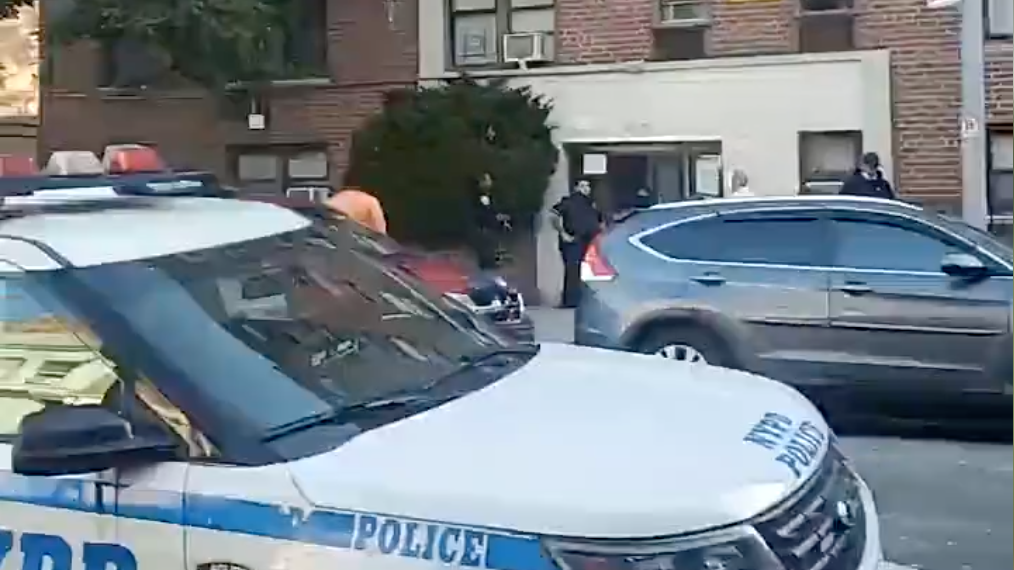 Man critically shot in torso in Jamaica apartment building: NYPD