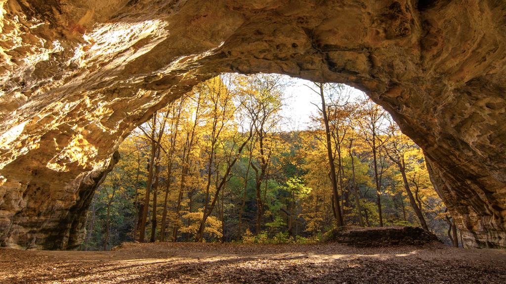 Illinois hopes residents will stay within the state to admire fall colors