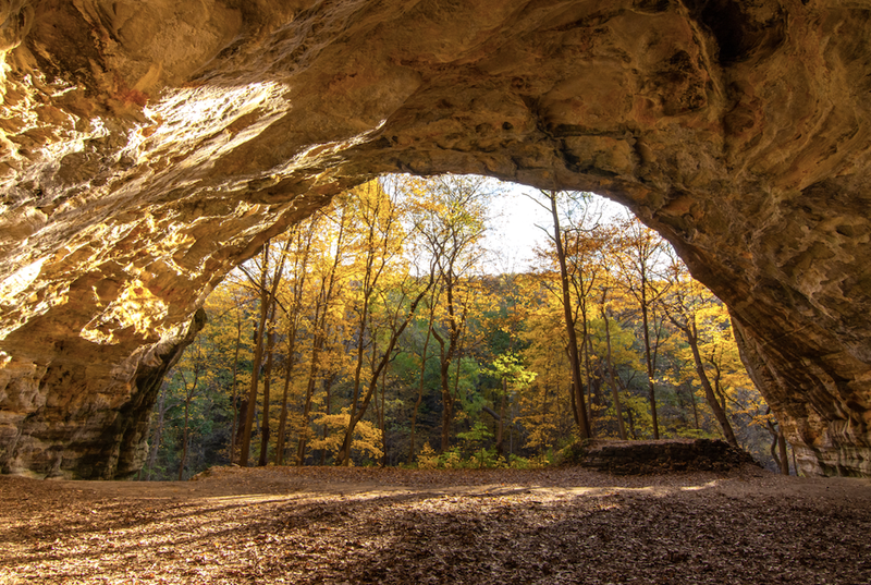 Starved Rock