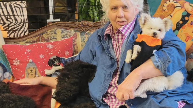 Beleaguered animal shelter to hold fundraiser: 'I'm here 24 hours a day'