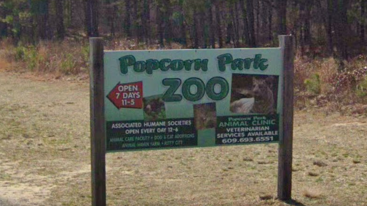 NJ zoo closes after 2 dead animals test positive for bird flu