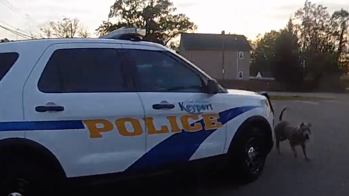 NJ couple charged after officer shoots their 'aggressive' dog who ran toward police