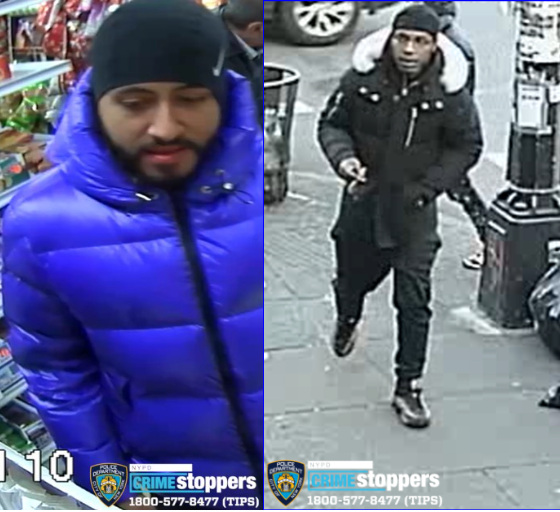 Bronx slashing suspects