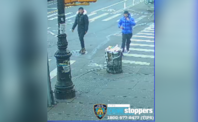 Bronx slashing suspects