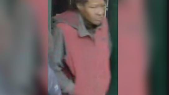 Woman attempts to kidnap boy, 5, walking on Brooklyn street with parents
