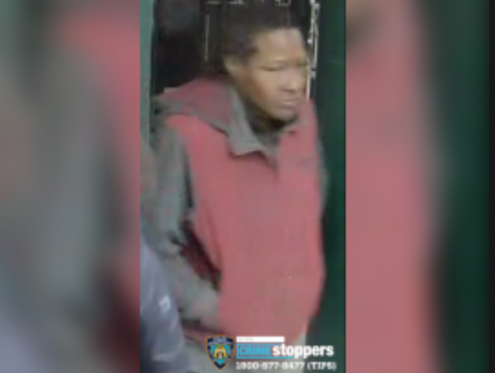 Attempted Brooklyn kidnapper
