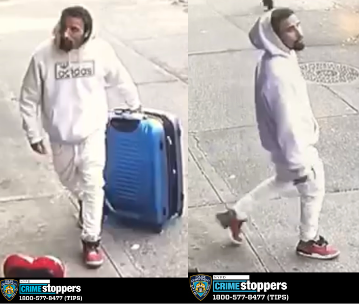Alleged Brooklyn carjacker