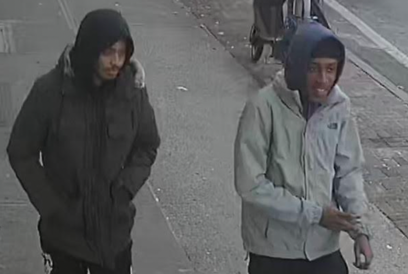 Jewelry store thieves