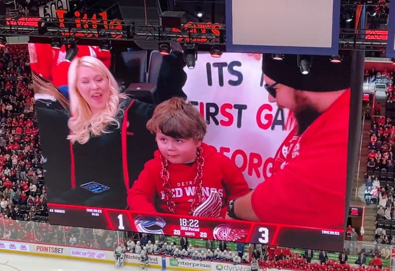 Fans at the Detroit Red Wings game on Saturday went wild as the Wings walloped Vancouver 5-2 on Saturday evening -- but that wasn't the only reason why they were cheering.