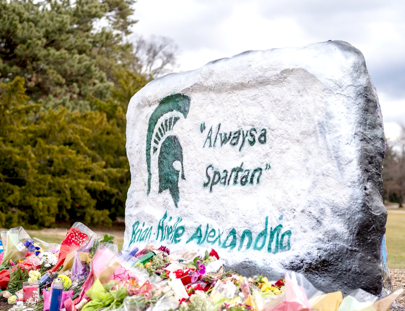 Michigan State University