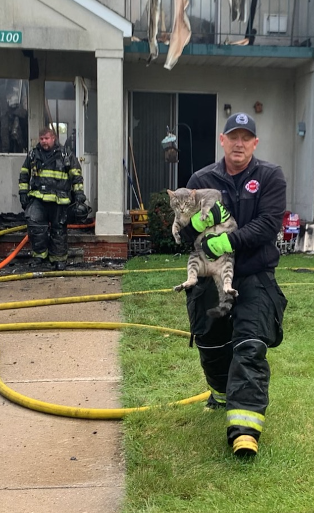 Firefighter carrying cat