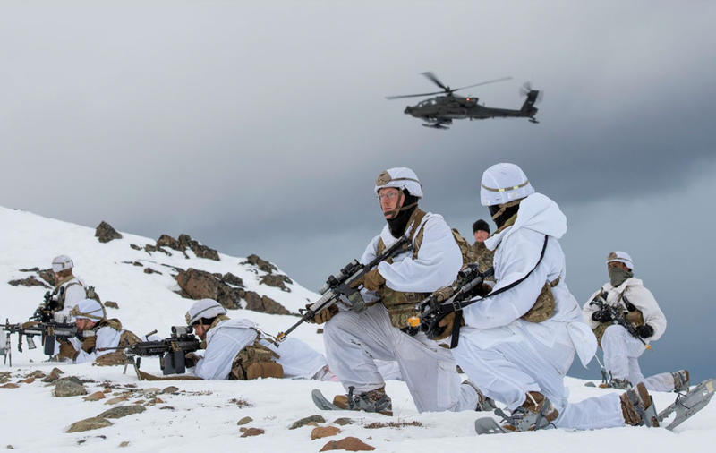 Arctic warfare training