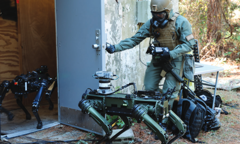 Counter WMD training