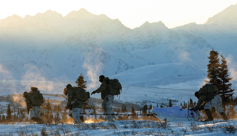 Arctic mobility