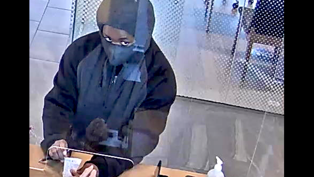 Lovers rob 6 Chicago area banks before leading cops on 100-mile chase into Indiana: FBI