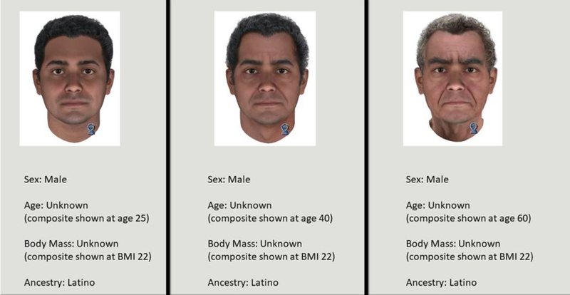 In 2021, a forensic artist created an age progression of what the Fairmount Park Rapist may look like. The image was created using DNA to predict his physical characteristics. 