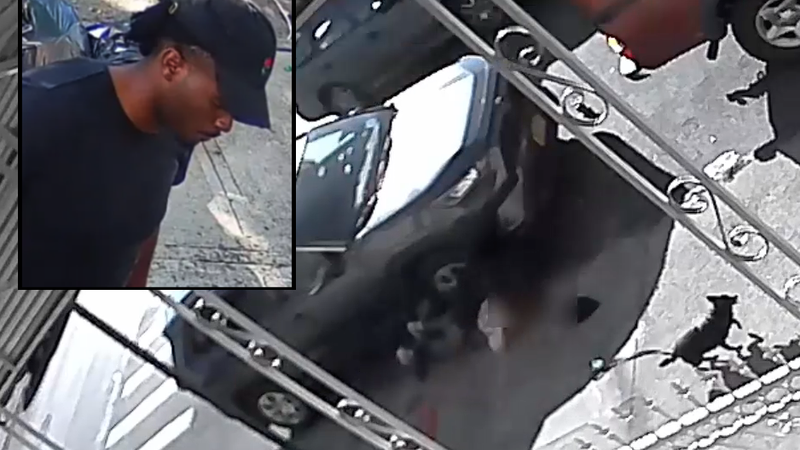 Man, 26, arrested in attempted rape, strangulation of dog walker in Brooklyn