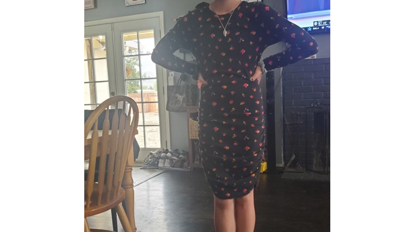 Police seek public's help to find missing Santa Rosa girl