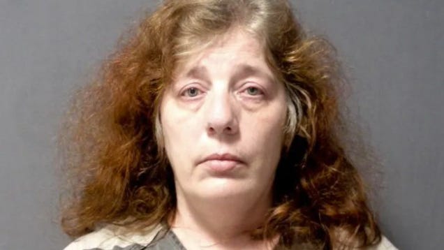 Metro Detroit woman tries to hire someone to kill her ex-husband on bogus 'Rent-A-Hitman' website