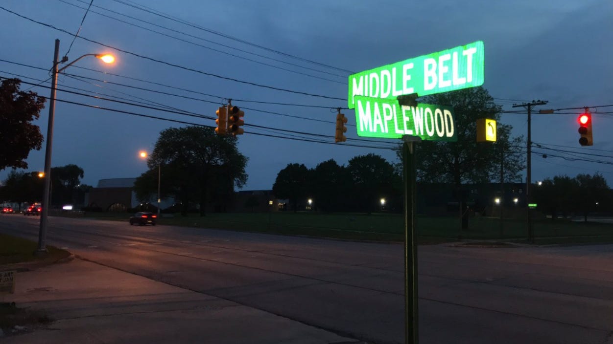 Woman dies after road rage incident in Wayne County