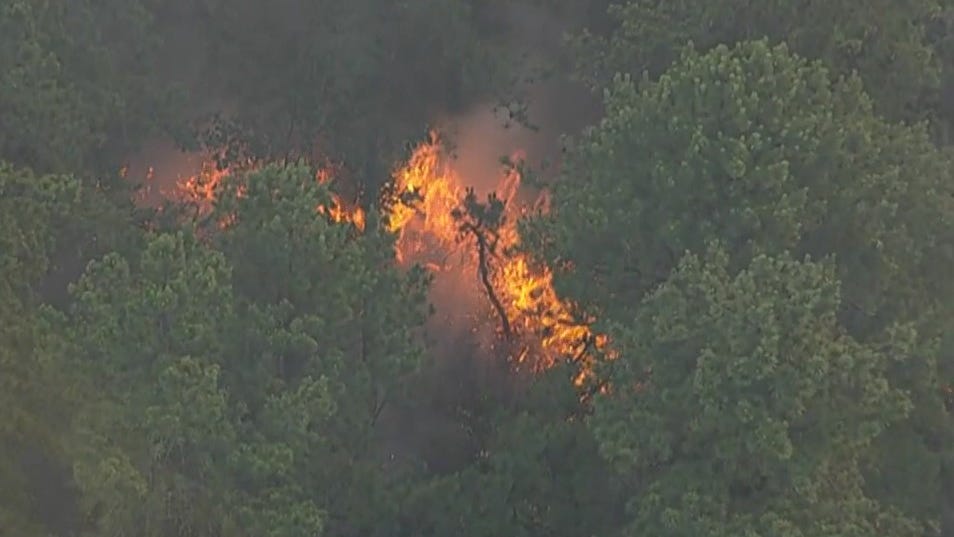 12,000-acre fire burns at Wharton State Forest in South Jersey