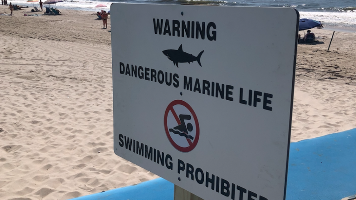 LI SHARK ATTACK: 16-year-old surfer injured in 6th attack this summer