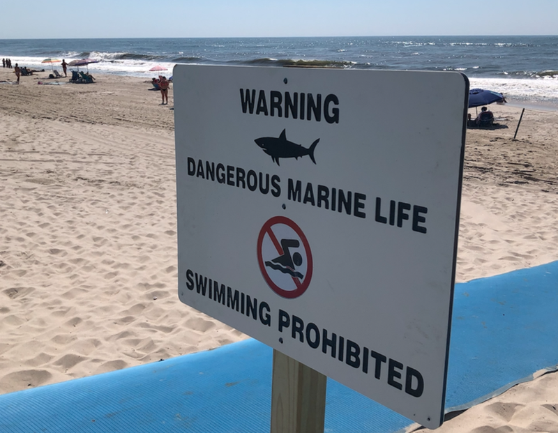 Smith Point Beach on Suffolk County has been closed after a surfer was attacked on Wednesday morning.